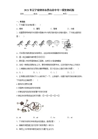 2021年辽宁省锦州市黑山县中考一模生物试题（word版 含答案）