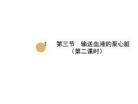 初中生物人教版 (新课标)七年级下册第四单元 生物圈中的人第四章 人体内物质的运输第三节 输送血液的泵──心脏备课ppt课件