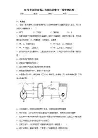 2021年湖北省黄石市铁山区中考一模生物试题(word版含答案）