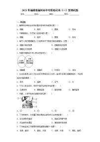 2021年福建省福州市中考质检试卷（一）生物试题（word版 含答案）