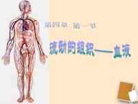 2021学年第一节 流动的组织──血液备课ppt课件