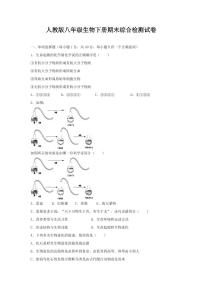 人教版八年级生物下册期末综合检测试卷测试题及答案