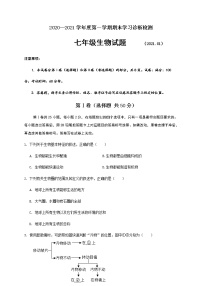 山东省济南市平阴县2020-2021学年七年级上学期期末考试生物试题（word版 含答案）