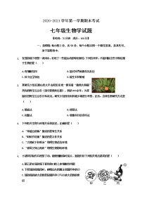 山东省聊城临清市2020-2021学年七年级上学期期末考试生物试题（word版 含答案）