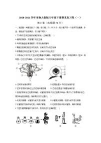 2020-2021学年人教版生物八年级下册期末复习卷（一）（word版 含答案）