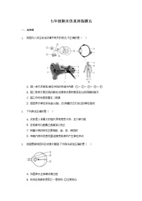 山东省新泰市2020---2021学年七年级下学期期末生物仿真训练题五（word版 含答案）