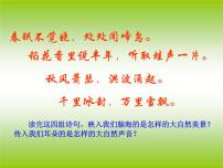 初中信息技术第一单元 演示文稿应用活动二 汇聚大自然的声音多媒体教学ppt课件