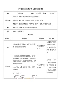 信息技术八年级下册第四节 逐帧动画教案及反思