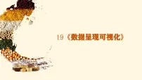 初中信息技术人教版（2024）八年级全一册第4单元 简易物联系统实践第19课 数据呈现可视化精品ppt课件