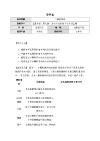 初中信息技术计算机系统学案