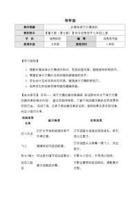 重大版（2019）七年级上册多媒体演示文稿进阶学案