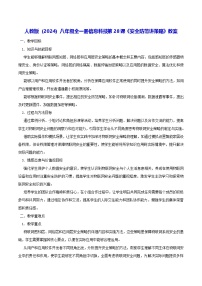 初中信息技术人教版（2024）八年级全一册安全防范讲策略教案