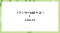 浙教版九年级全册项目一 智慧创造有技巧——仿生设计任务三 仿生设计制作与优化获奖课件ppt