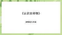 浙教版九年级全册项目二 集体文化共传扬——吉祥物的设计和制作任务一 认识吉祥物精品课件ppt