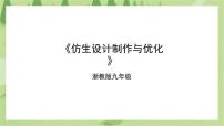 初中劳技浙教版九年级全册任务三 仿生设计制作与优化示范课课件ppt