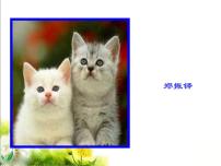 初中语文人教部编版七年级上册16 猫课文课件ppt