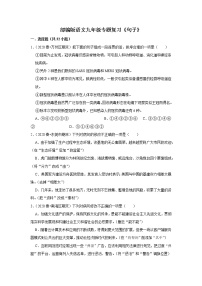 部编版语文八年级下册专题复习《句子》（含答案）