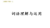 人教部编版八年级上册2 首届诺贝尔奖颁发优质习题ppt课件