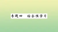 九年级语文上册期末复习专题四综合性学习作业课件新人教版20200709254