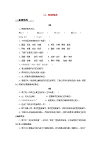 初中语文人教部编版七年级下册15 驿路梨花练习