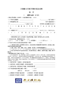人教版七年级下语文期末综合试卷
