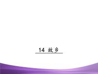 初中语文人教部编版九年级上册14 故乡教课课件ppt