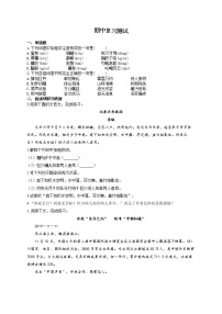 部编版八年级语文上册 期中复习测试