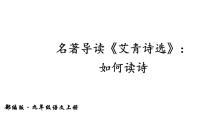 部编版语文名著阅读课件----------《艾青诗选》：如何读诗 (2)