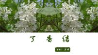 人教部编版 (五四制)六年级上册（2018）2 丁香结课文ppt课件
