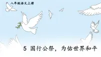 初中语文5 国行公祭,为佑世界和平教学演示ppt课件