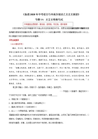 2021届中考语文专项复习专题04 文言文特殊句式（解析版）