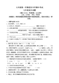 七年级第一学期期中考试语文试卷（含答案）