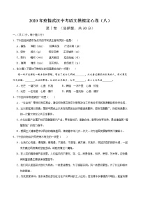 2020年疫情武汉中考语文模拟定心卷（八）（原卷版）