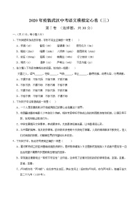2020年疫情武汉中考语文模拟定心卷（三）（解析版）