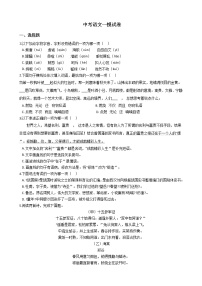辽宁省沈阳市2021年中考语文一模（学业水平模拟）试卷含答案
