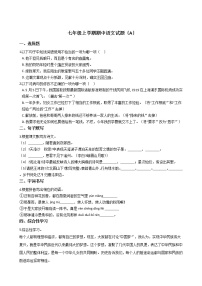 2021年山东省滨州市七年级上学期期中语文试题（A）附答案