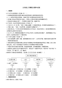 2021年山东省枣庄市滕州市九年级上学期语文期中试卷附答案