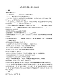 2021年广东省湛江市九年级上学期语文期中考试试题附答案