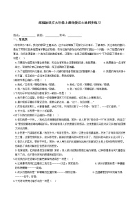 初中语文人教部编版九年级上册3 我爱这土地综合训练题