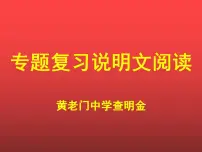 2021-2022学年部编版语文八年级上学期专题复习 说明文阅读课件(共51页)