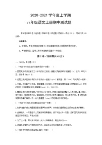 山东省新泰市2020-2021学年八年级上学期期中复习测试题(word版含答案)