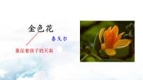 2021学年金色花评课ppt课件