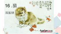 初中语文人教部编版七年级上册第五单元16 猫教学课件ppt