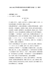 四川省泸州市龙马潭区2021-2022学年七年级上学期期中语文试卷(word版 含答案)