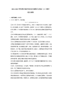 四川省泸州市龙马潭区2021-2022学年九年级上学期期中语文试卷(word版 含答案)