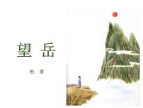 初中语文望岳教学演示课件ppt