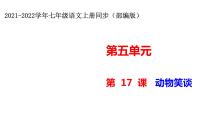 人教部编版七年级上册动物笑谈教案配套课件ppt
