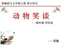 初中语文人教部编版七年级上册动物笑谈教课课件ppt