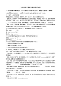 2021年浙江省杭州市西湖区九年级上学期语文期末考试试卷及答案