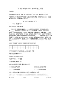 2021年山东省潍坊市中考语文试题（解析版）